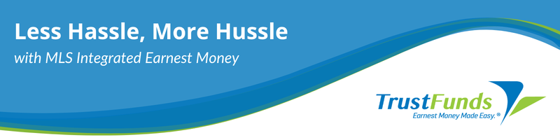 Website Header 800×200